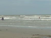 Teen survives shark bite off Texas beach: 'I started punching it'