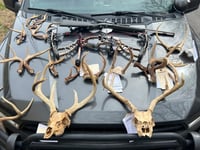 Tennessee man jailed for using spotlight to hunt deer, threatening landowner