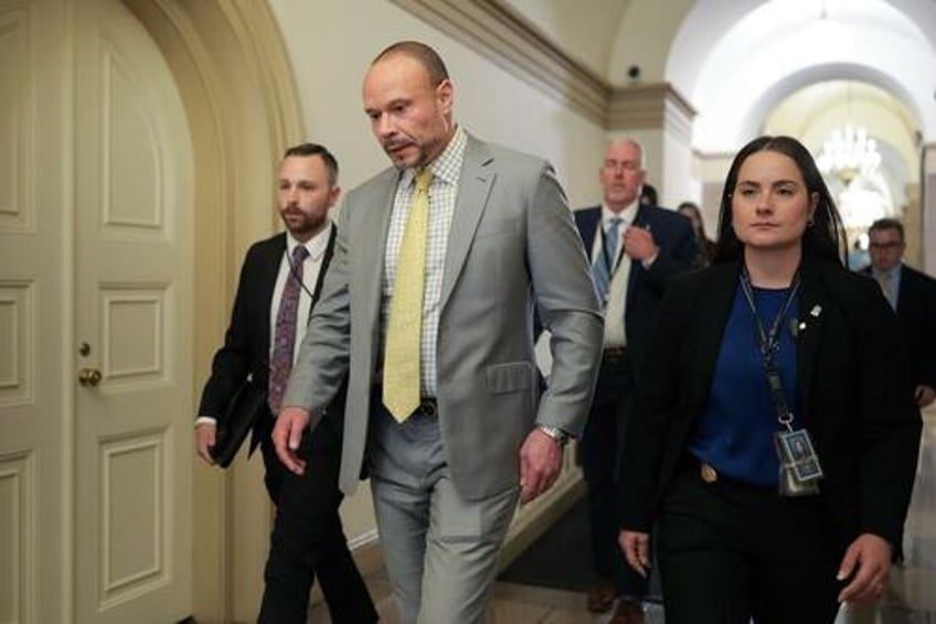 tensions explode between bongino and bondi amid doj epstein memo fallout reports