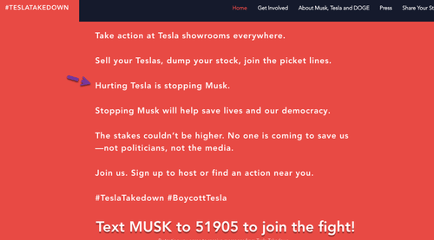 tesla takedown organizers plan color revolution to kill brand death spiral for investors