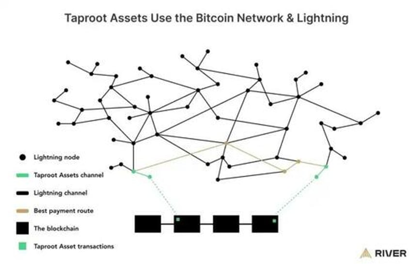 tether is back on bitcoin lightning dominance is just starting