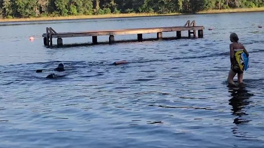 texas alligator sets sights on children swimming in lake video shows