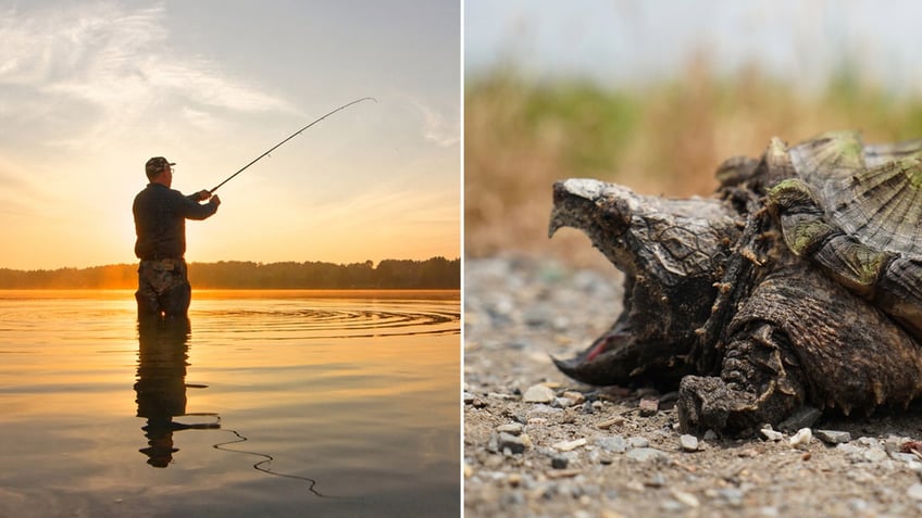 texas awarding 2k to anyone who reports alligator snapping turtle poaching