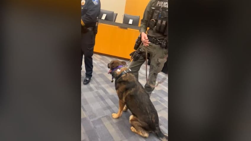 K-9 Jack receiving standing ovation