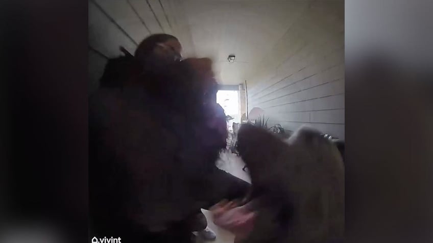 texas mother seen on video fighting off pit bull that attacked toddler