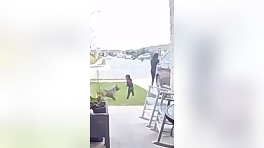 texas mother seen on video fighting off pit bull that attacked toddler