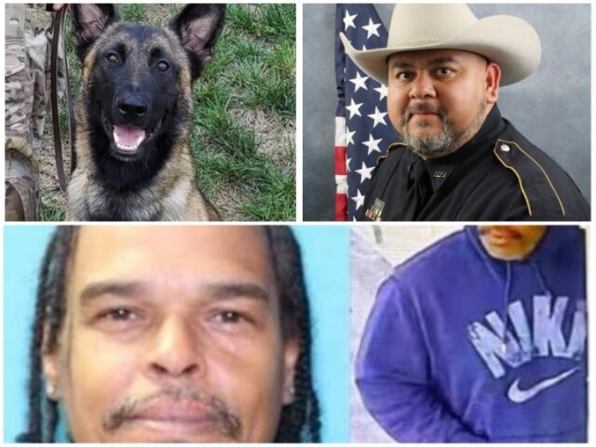 Deputy Jesus Vargas murdered. K-9 Rocky wounded in shooting. Fugitive Robert Davis killed