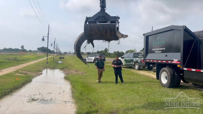 gator in grapple truck claw