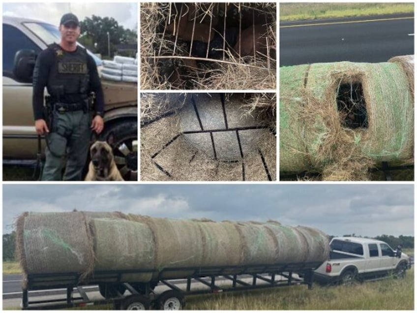 Texas Deputy Finds 12 Illegal Aliens Stuffed in Hay Bales (Fayette County Sheriff's Office