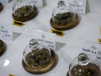Thai government to reclassify marijuana as a narcotic, require permits for use
