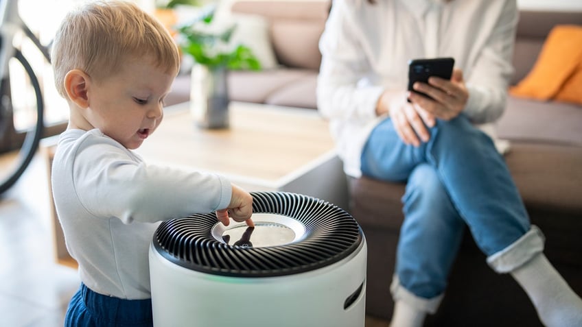 the 12 best air purifiers youll find on amazons spring sale to help you through allergy season