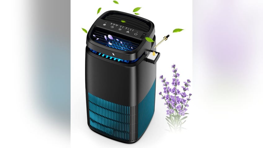 the 12 best air purifiers youll find on amazons spring sale to help you through allergy season