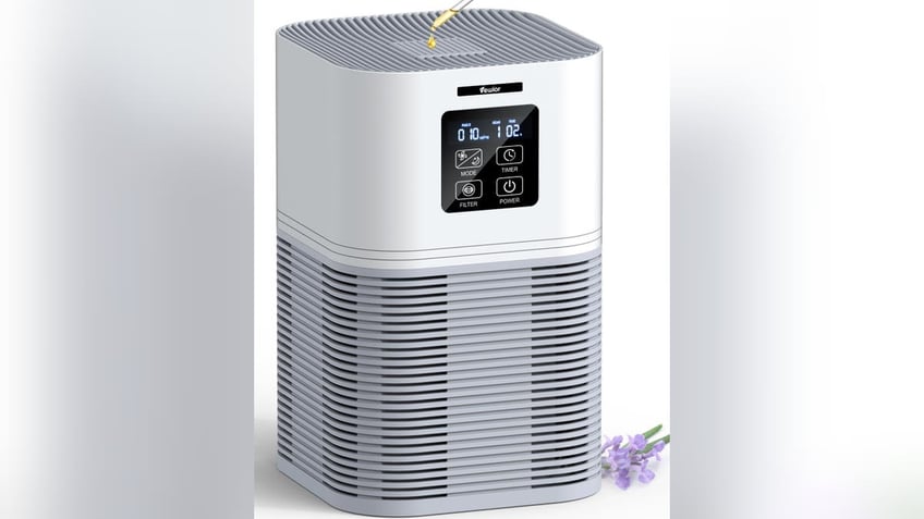 the 12 best air purifiers youll find on amazons spring sale to help you through allergy season