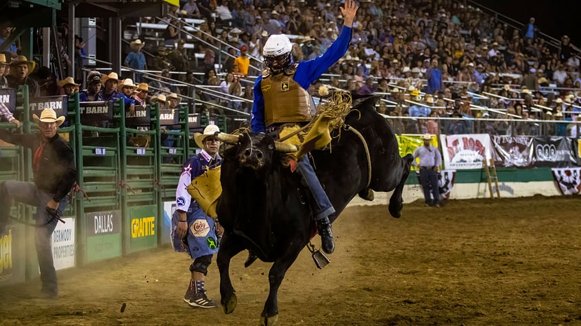 Bull riding competition 