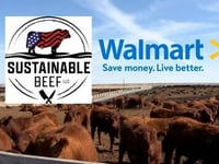 The Big Four Just Became Five: Walmart Quietly Captures The Beef Chain