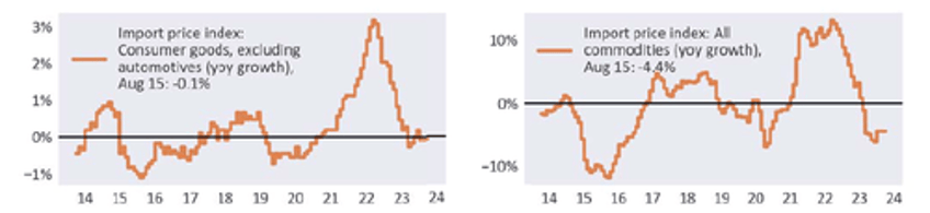 the bipolar us economy