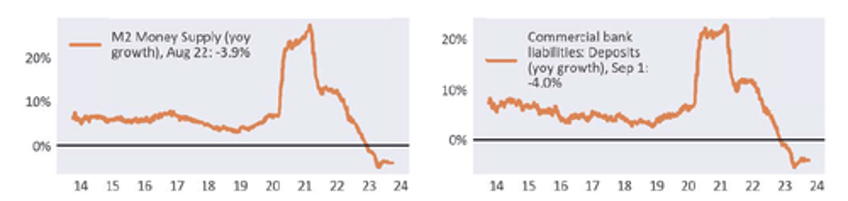 the bipolar us economy