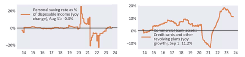 the bipolar us economy