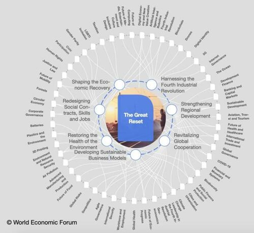 the brave new world of 2030 youll own nothing and youll be happy