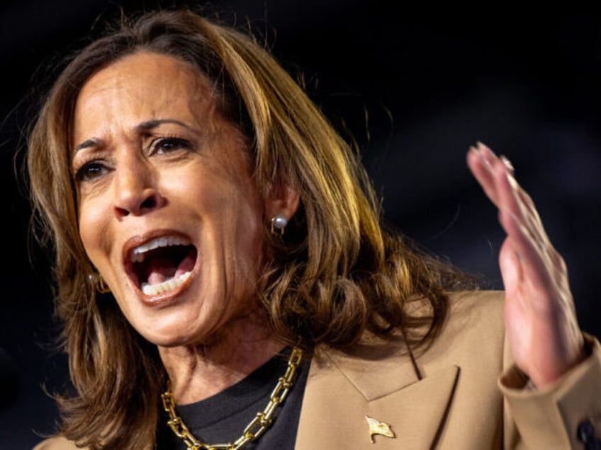 CHANDLER, ARIZONA - OCTOBER 10: Democratic presidential nominee, Vice President Kamala Har