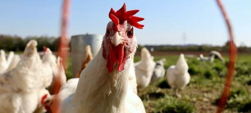 the escalating threat of avian influenza h5n1 and the ethical quandary of gain of function research