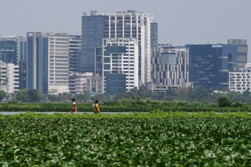 the kidneys of kolkata indian wetlands under threat