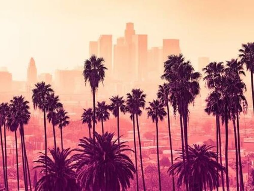 the la fires the social contract is nonsense and no one is coming to save you