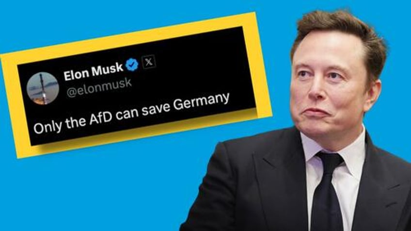 the last spark of hope for germany musk pens pro afd op ed in major paper editor resigns