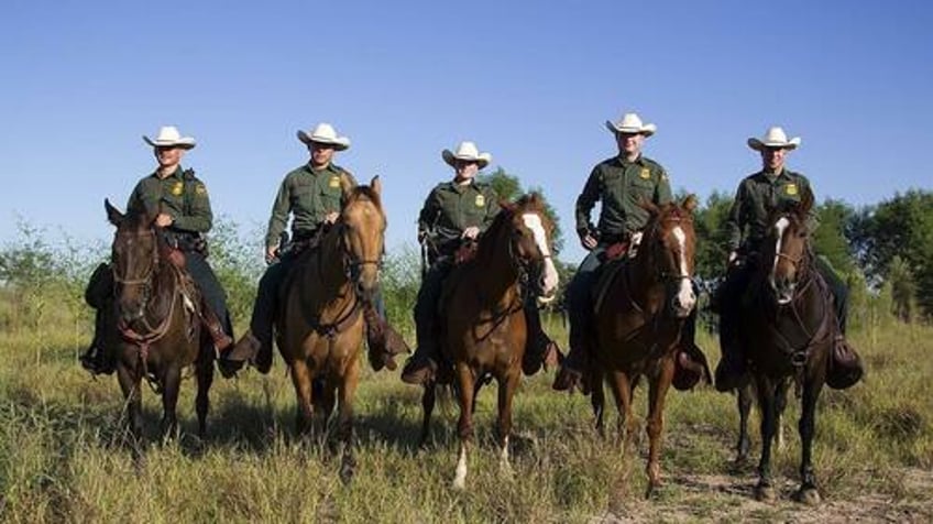 the latest border patrol numbers are here and wow