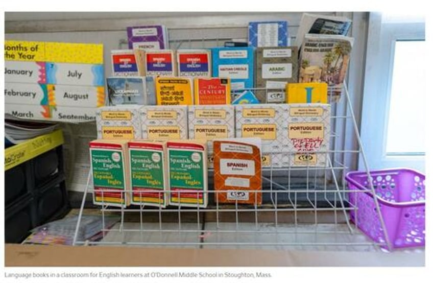 the massive immigration wave hits americas schools and shelters