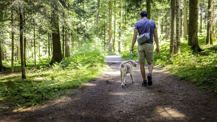 the more people exercise the lazier they are throughout the rest of the day study suggests