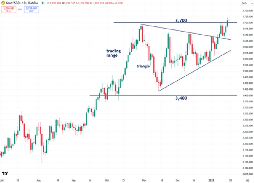 the next phase of golds bull market has just begun