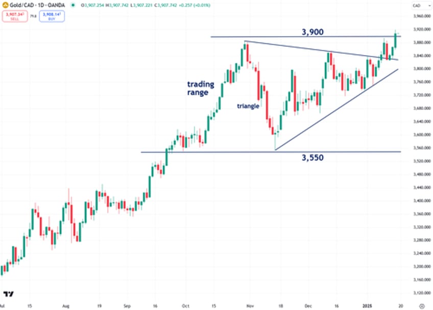 the next phase of golds bull market has just begun