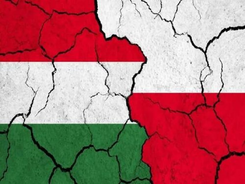 the polish hungarian dispute is getting nastier after sikorski lied about szijjarto