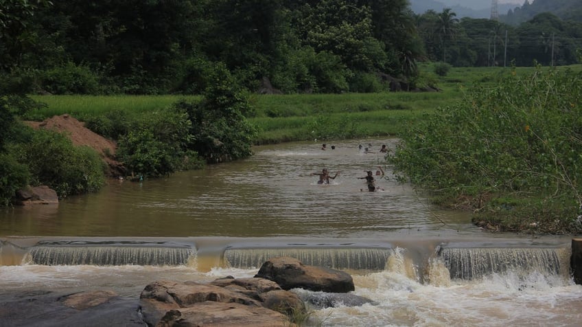 the power of rain harvesting understanding its role