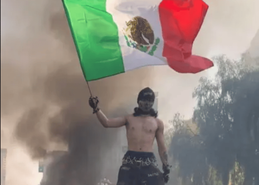 the protest industrial complex isnt peaceful its civil terrorism 