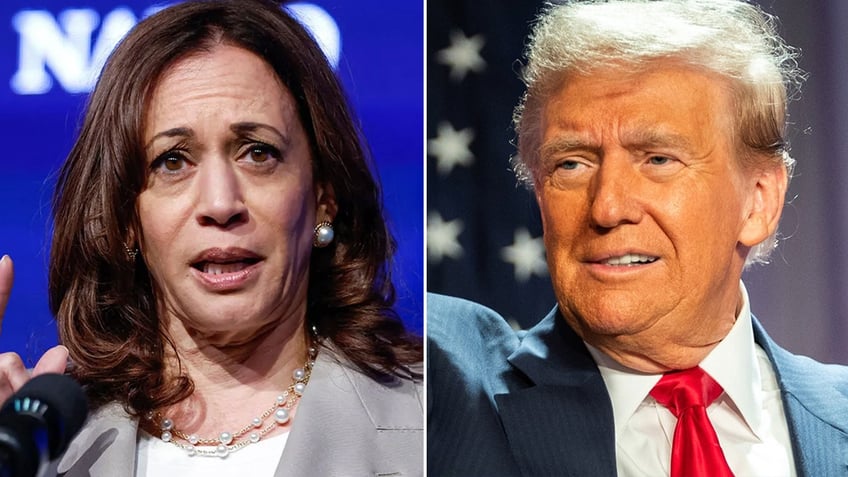 Kamala Harris and President-elect Donald Trump