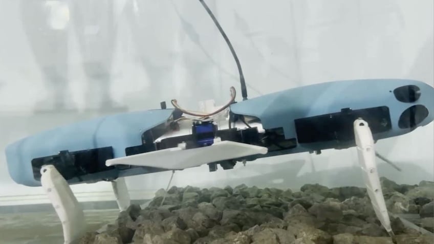 The shape-shifting underwater robot pioneering the depths of the sea