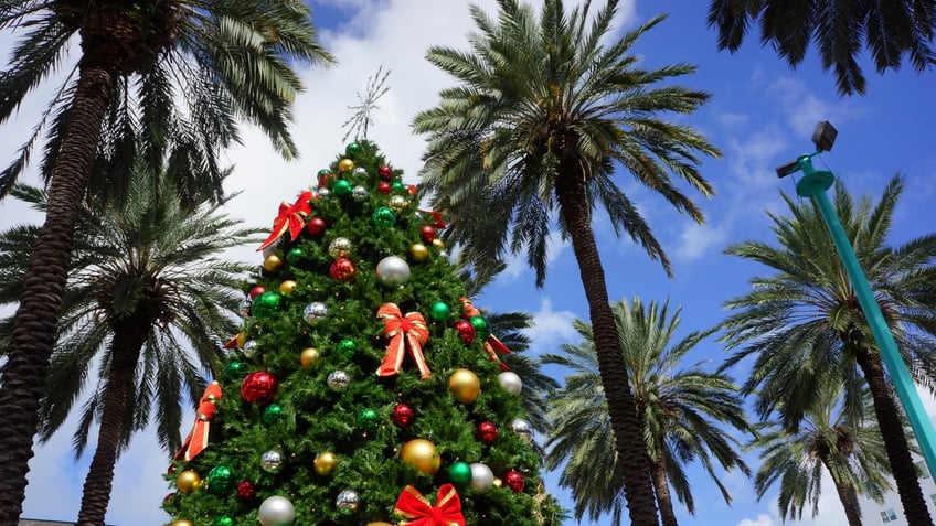 miami florida christmas tree