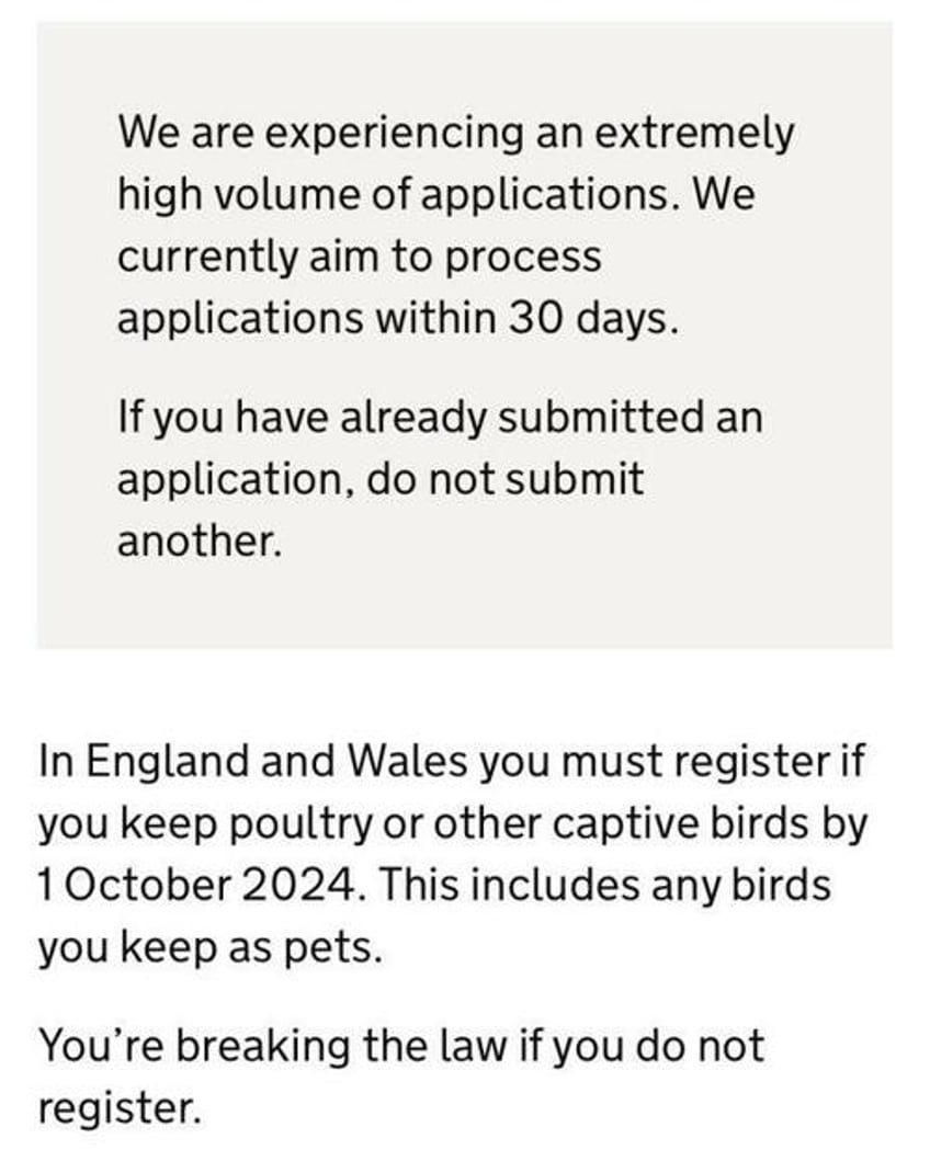 the uks chicken license rebellion the good way to deal with bad laws