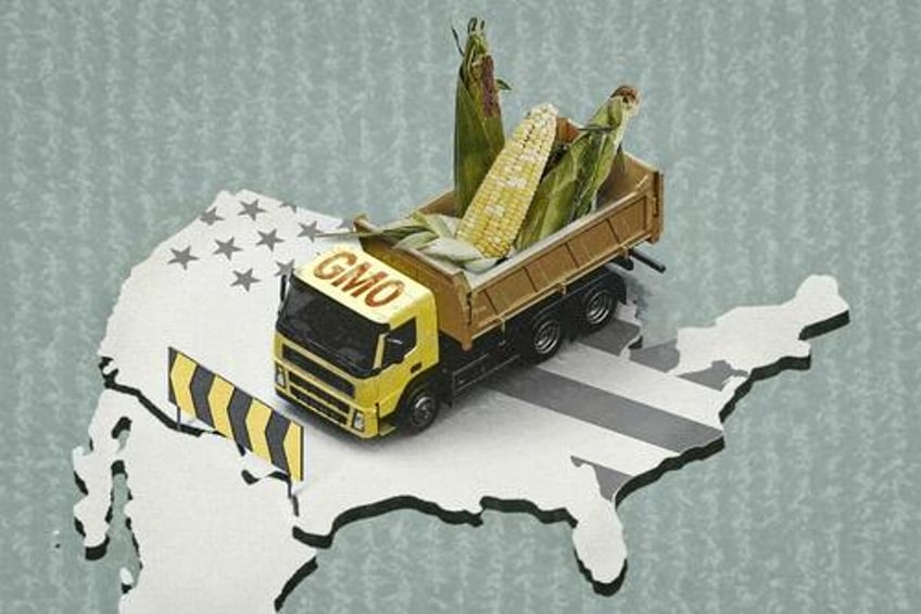 the us mexico dispute over gm corn safety could transform american agriculture