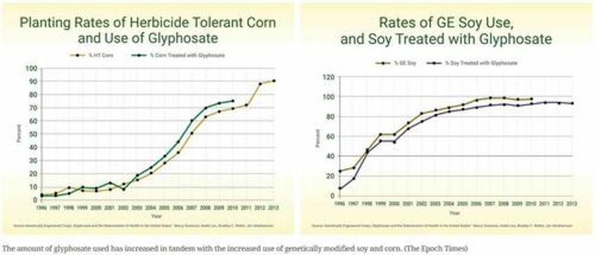 the us mexico dispute over gm corn safety could transform american agriculture