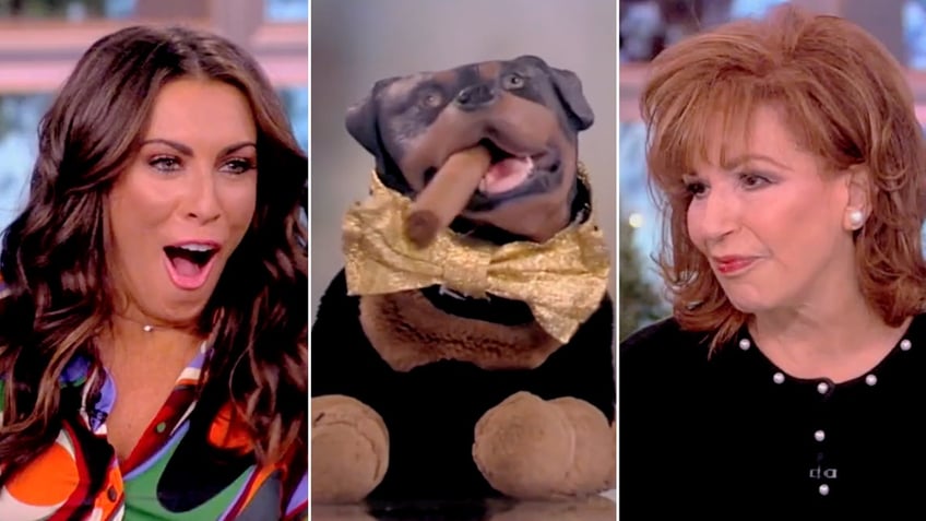 the view roasted by triumph the insult comic dog as hostile to other women conservatives