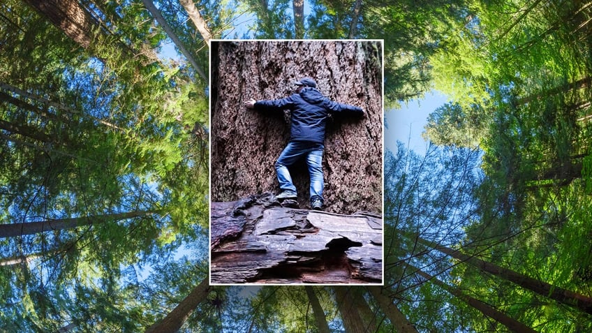 A man hugging a very large tree and trees in the background