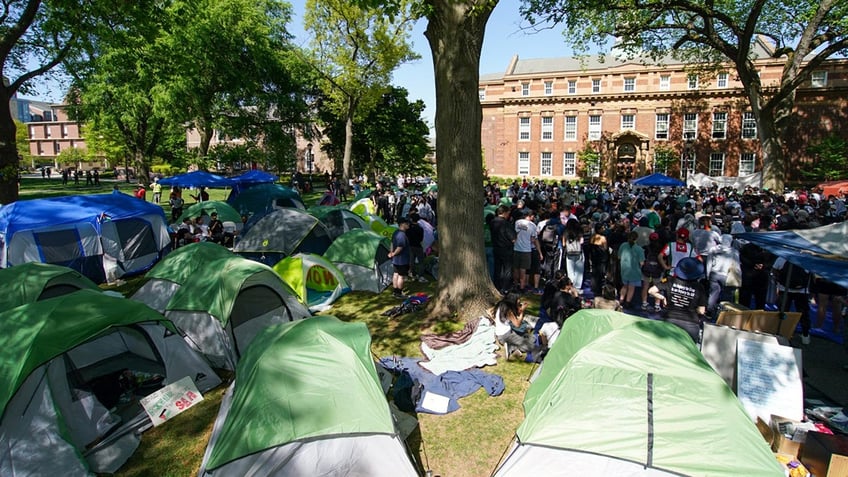 Large anti Israel protest at Rutgers University