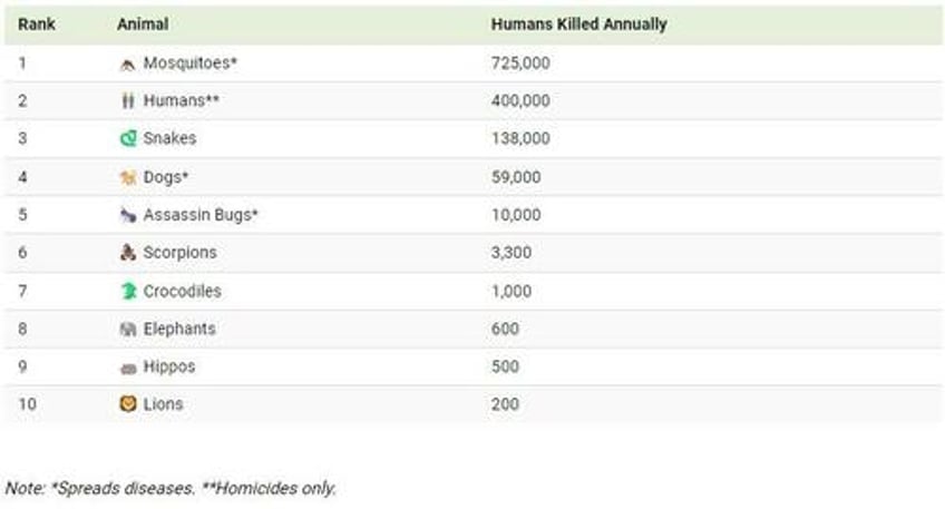 these are the 10 deadliest animals for humans