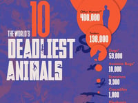These Are The 10 Deadliest Animals For Humans