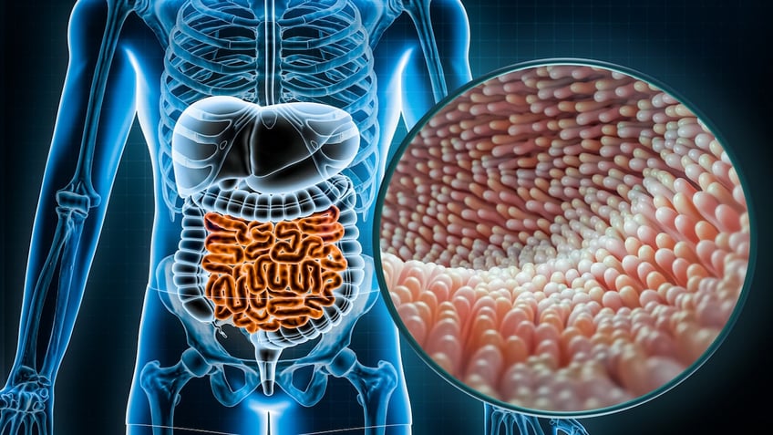 these are the best prebiotic packed foods for boosting gut health new study finds