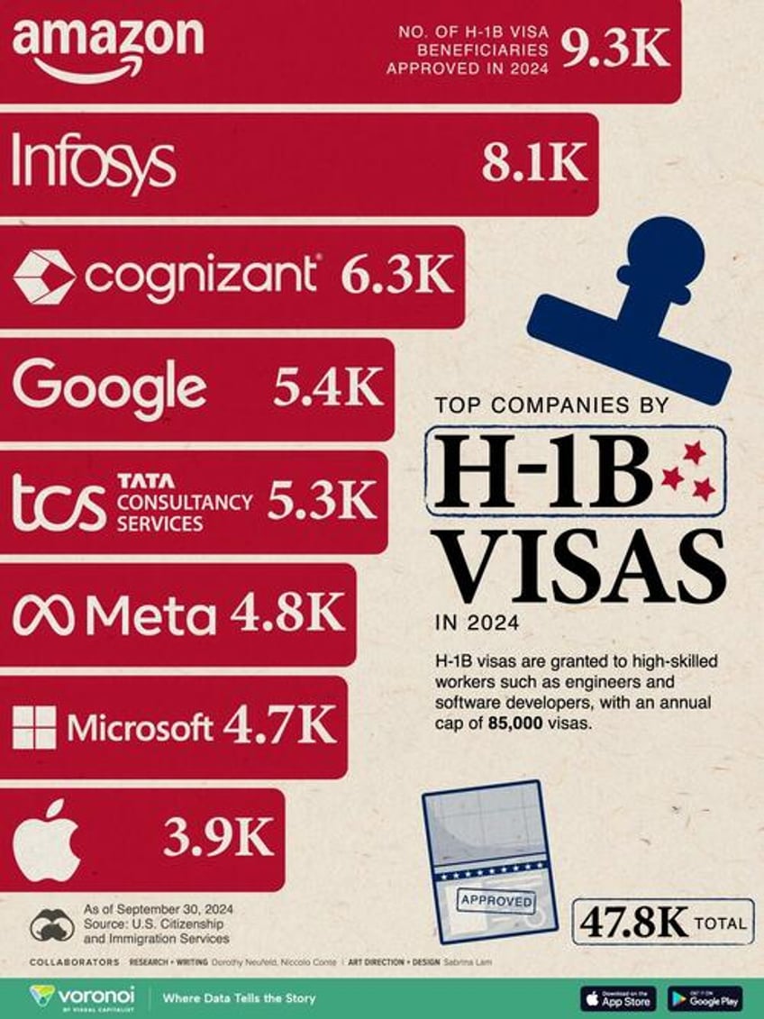 these are the top companies using h 1b visas in 2024