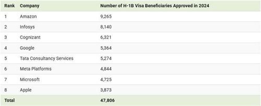 these are the top companies using h 1b visas in 2024